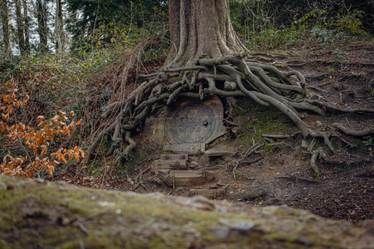 A small door built into the base of a tree in a forest photographed by Benjamin Elliott on Unsplash.